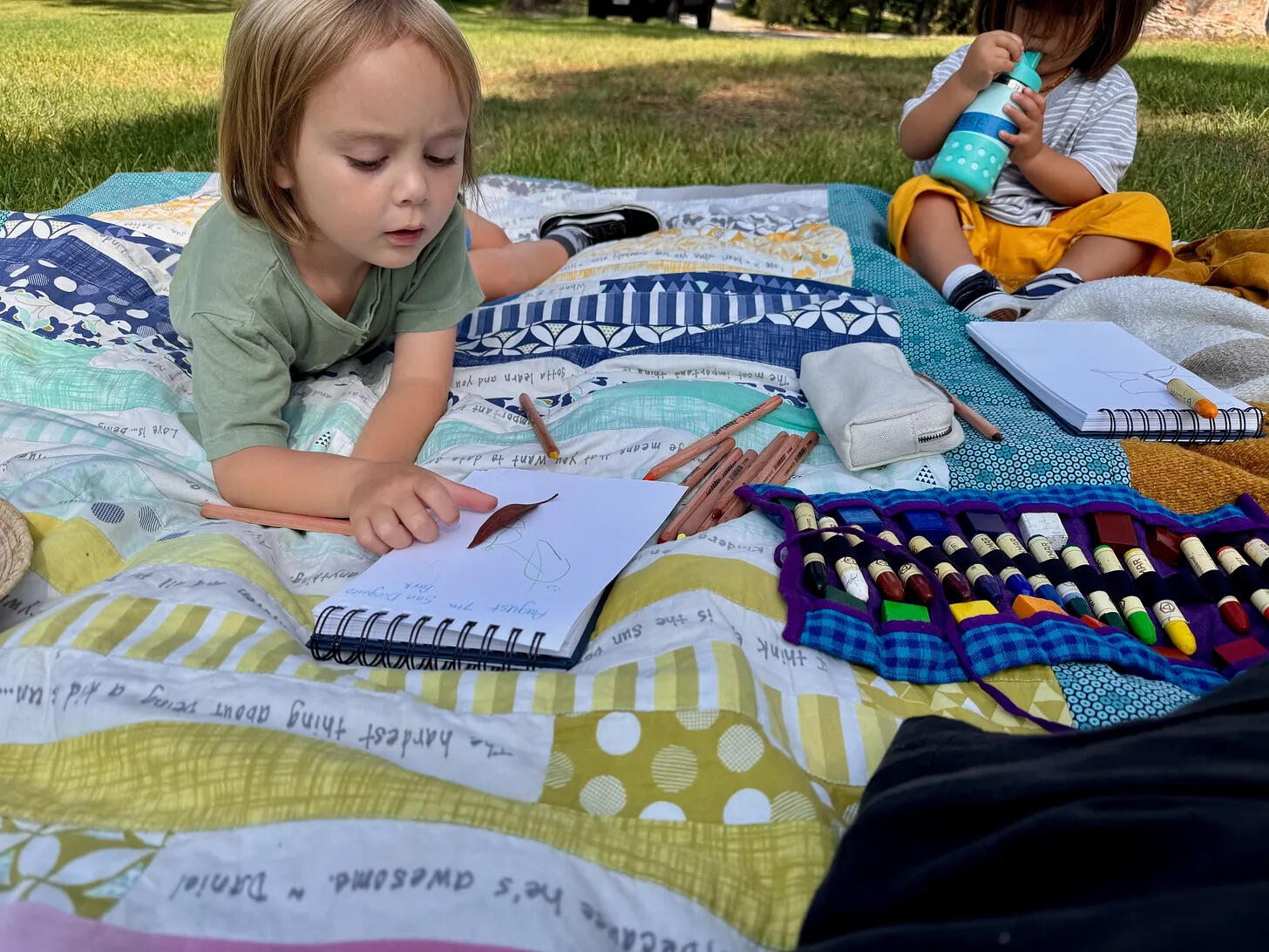 Leaf Study study of leaves